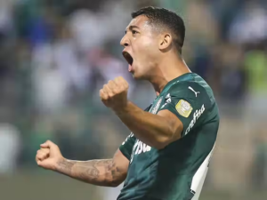 Pedro Bicalho Palmeiras